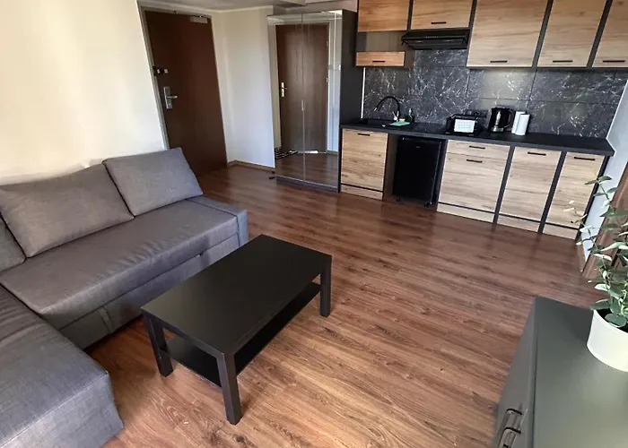 公寓 Pierwsza Linia Brzegowa - *